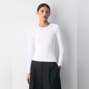 Aritzia Original Contour Splendid Crew Longsleeve